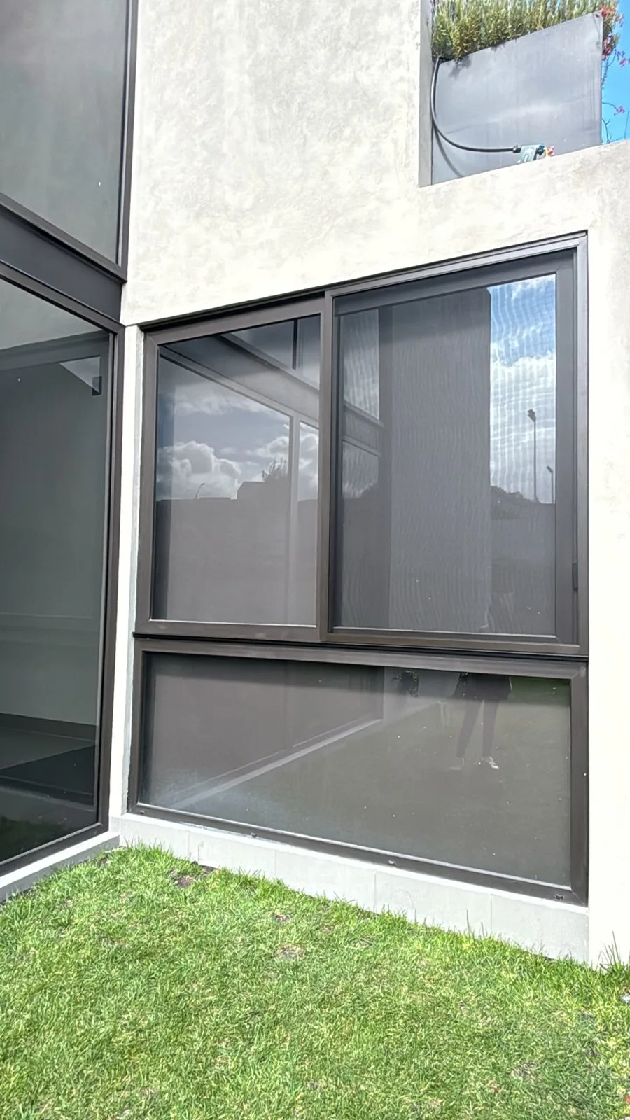 Mosquitero instalado